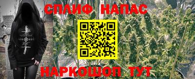 сатива Северобайкальск