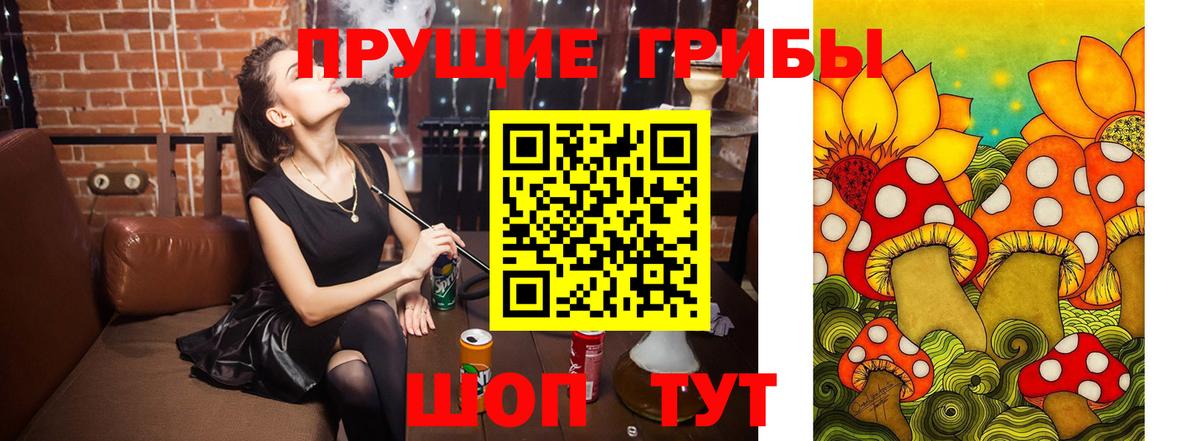Галлюциногенные грибы Psilocybine cubensis  Вход с VPN  Новошахтинск 